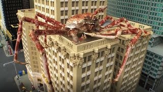 CRABZILLA EL INCREÍBLE CANGREJO ARAÑA JAPONÉS [upl. by Aihsitan]