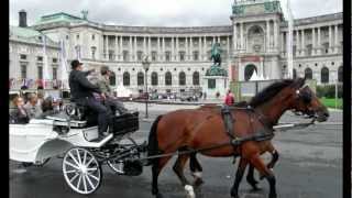 VIENNA A walking tour around the city  VIENA Un paseo por la ciudad [upl. by Ahscrop372]