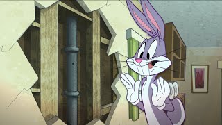 Every The Looney Tunes Show Season 1 Episode Ending 1000 SUBSCRIBERS SPECIAL [upl. by Holzman]