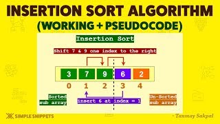 Insertion Sort Algorithm  How Insertion Sort Works with Example  Part  1  Sorting Algorithms DS [upl. by Naedan]