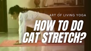 How To Do Cat Stretch Yoga  Marjari Asana  Sri Sri Yoga  Kamlesh Barwal [upl. by Rorry]