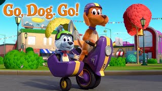 GO DOG GO  Season 1 Trailer  NETFLIX [upl. by Naujik]