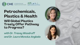 Petrochemicals Plastics amp Health Will Global Treaty Offer Pathway to Progress [upl. by Diaz]