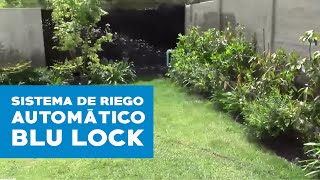 Sistema de riego automático Blu Lock [upl. by Einnig]