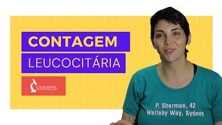 Contagem de leucócitos na patologia clínica veterinária [upl. by Gschu921]