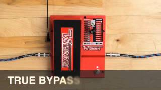 DigiTech Whammy Demo Video with Jonni Lightfoot [upl. by Honniball925]