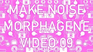 Make Noise  Morphagene 09  Richard Devine Freesound Reel MorphageneMondays [upl. by Emoraj]