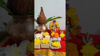 Laxmi Poja laxmipuja diwalilaxmipuja diwali diwalivibes video subscribe god reels pooja [upl. by Harman]