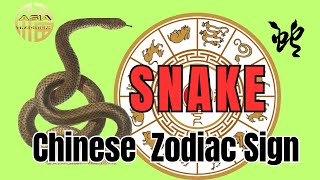 Snake Chinese Zodiac Sign Snake Predictions and Personality [upl. by Ahsikan]