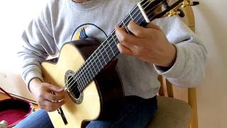 Matteo Carcassi 25 Estudios Op60 No19 in E Minor [upl. by Rehpretsirhc]