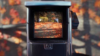 Hasselblad 503cx Shooting Fujichrome Velvia100 Reversal Film  Karuizawa Japan [upl. by Anaicul534]