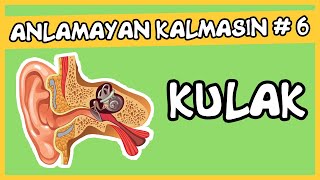 Anlamayan Kalmasın 6 Kulak [upl. by Nnoryt]