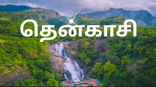 தென்காசி பற்றிய சுவாரசிய தகவல்கள்  Interesting Facts about Tenkasi District In Tamil [upl. by Devina]