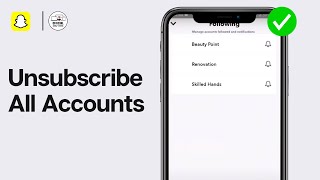 How To Unsubscribe EVERYONE On Snapchat 2024 [upl. by Jerz]