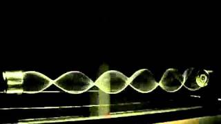 Standing Waves Generated by String Vibration [upl. by Ayhdiv]