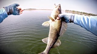 Early Spring Walleyes — Fishing Edge TV [upl. by Annaira325]