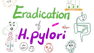 Eradication of Helicobacter Pylori Bacteria 🦠  The Triple Regimen amp The Quadruple Regimen [upl. by Adnowat945]