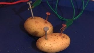 How To Make Your Own Potato Battery [upl. by Wurst602]