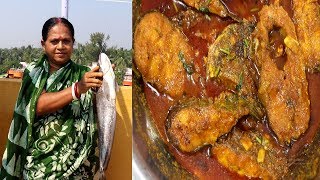 Boal Macher Jhal Recipe  Famous Boal Fish Curry Cooking [upl. by Vasquez]