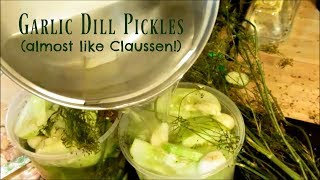 Claussen Copycat Recipe Quick Garlic Dill Pickles [upl. by Bartle642]