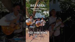 Bay Area Mariachi Trio for Hire  Parties Weddings You Name It [upl. by Abigale385]