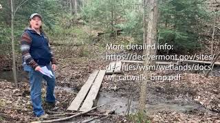 HOW TO BUILD A FUN MOUNTAIN BIKE LOAM TRAIL [upl. by Cima]