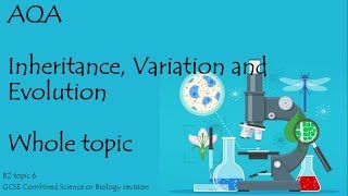 The whole of AQA INHERITANCE VARIATION and EVOLUTION 91 GCSE Biology combined science for paper 2 [upl. by Sarene]