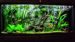 The Hard Water Planted Aquarium amp Everything You Want To Know [upl. by Halsy]