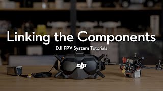 DJI FPV System  How to Link the Components [upl. by Macegan385]