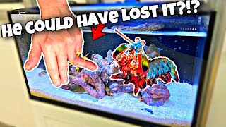 Mantis Shrimp vs Human Finger Touring PC Farm 20 [upl. by Proudlove34]