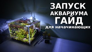 Запуск аквариума гайд для начинающих  пошаговый инструктаж [upl. by Irrehc28]