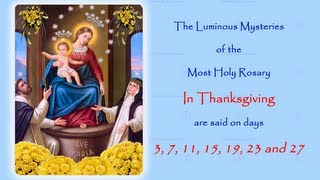 The Luminous Mysteries  In Thanksgiving  Annual 54 Day Rosary Novena [upl. by Vivle611]