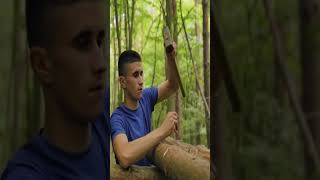 bushcraft build camp camping survival shelter wildlife skills lifehacks forest [upl. by Guillemette]