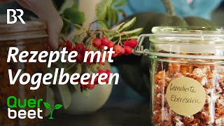 Ebereschen Wildobst kandiert und als Chutney [upl. by Schober]