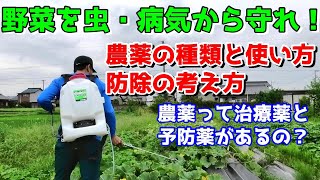 野菜を虫や病気から守りたい！農薬の種類・使い方紹介 [upl. by Eniale]