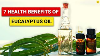 7 Health Benefits of Eucalyptus Oil that You Must Know Credihealth [upl. by Brok310]