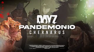 dayz PANDEMONIO CHERNARUS SERVER BR [upl. by Aliac]