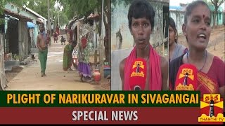 Special News On quotPlight Of Narikuravar People in Sivagangaiquot  Thanthi TV [upl. by Meave]