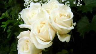 Gypsy Jazz  Saban Bajramovic  Bele Ruze White Roses [upl. by Nwahsyd]