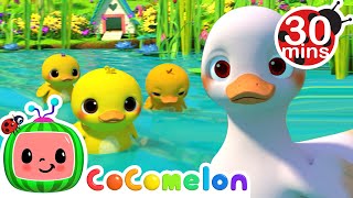 Five Little Duckies 30 MIN LOOP  Animal Songs For Kids [upl. by Lorola]