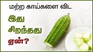 Ridge Gourd Benefits in Tamil  Peerkangai  24 Tamil Health [upl. by Yessak729]