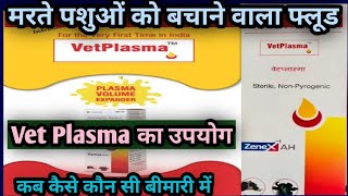 Vet Plasma injection use in Animals मरते पशुओं को बचाने वाला फ्लूड [upl. by Yelknirb504]