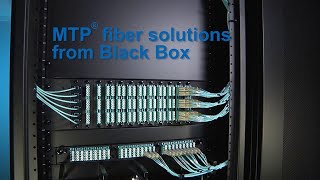 MTP Connector Rackmount Fiber Solutions  Black Box® [upl. by Notslah]