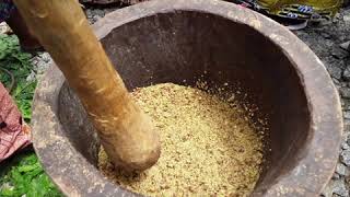 How to produce neem oil locally by extracting it from neem tree fruit [upl. by Yeclehc779]