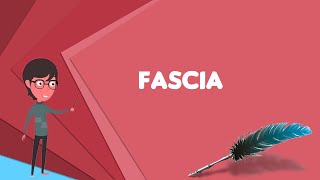 What is Fascia Explain Fascia Define Fascia Meaning of Fascia [upl. by Pattie]