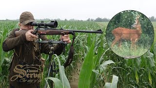 Roebuck hunting in Croatia  Cesma 2018  Rehbockjagd in Kroatien [upl. by Bithia243]