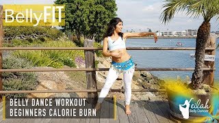 Beginners Belly Dance Cardio Workout  Shimmy Adventures [upl. by Aivitnahs609]