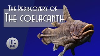 Loch Ness Outdone Rediscovery of the Coelacanth [upl. by Nemrac]