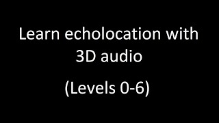 How to echolocate stepbystep [upl. by Babita]