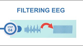 EEGLAB preprocessing 4 Filtering [upl. by Chicky]